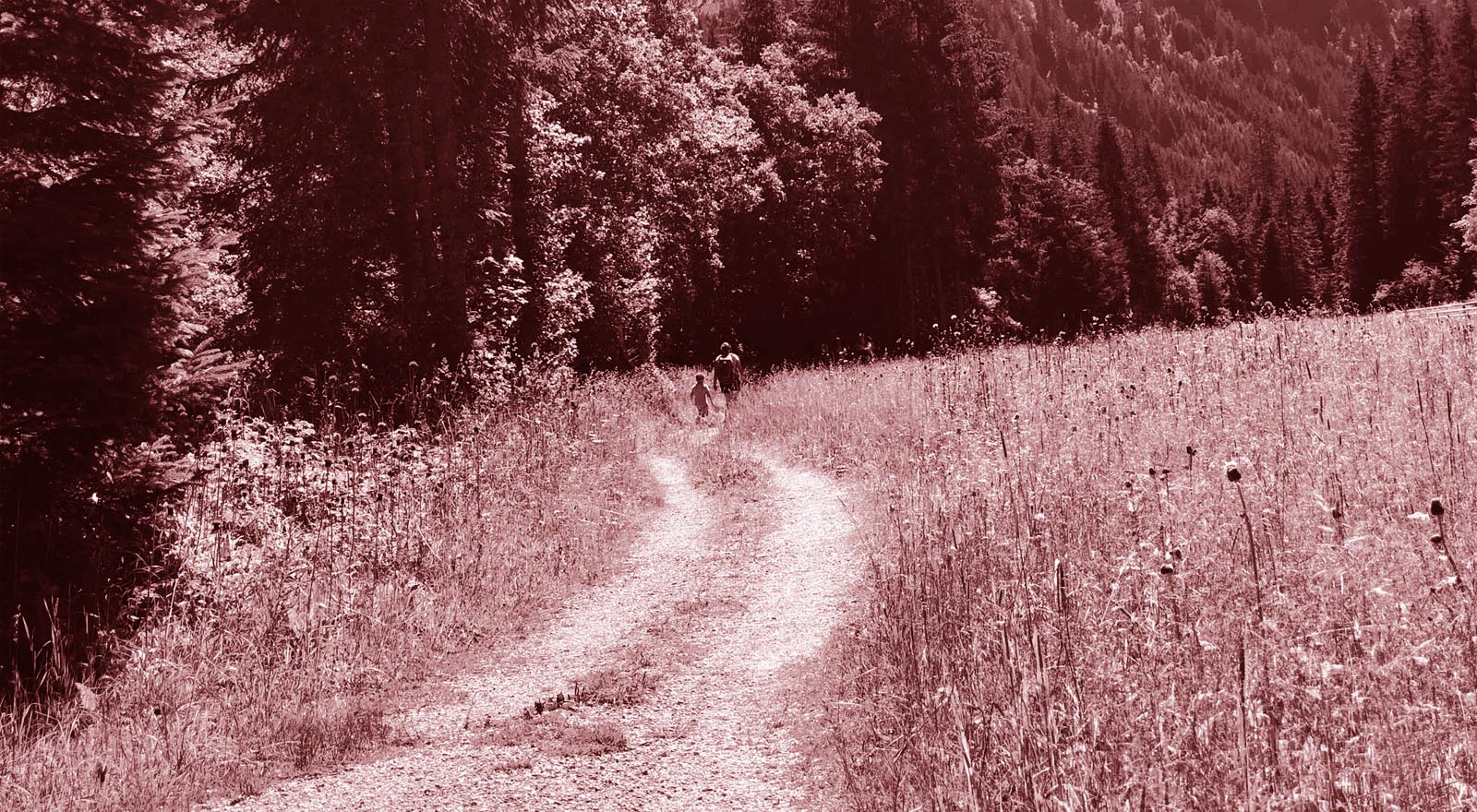 Foto Wiesenweg